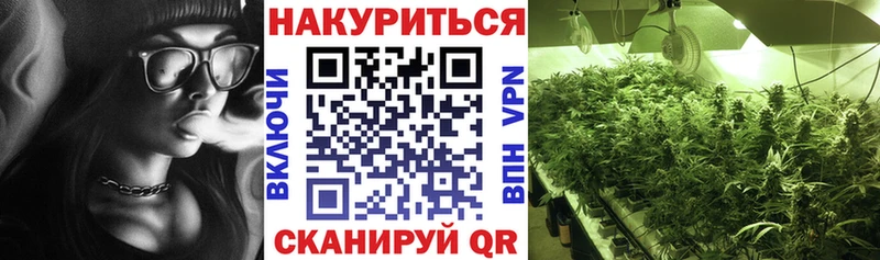 даркнет как зайти  хочу наркоту  Агрыз  Шишки марихуана марихуана 